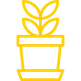 Icon Leihpflanzen